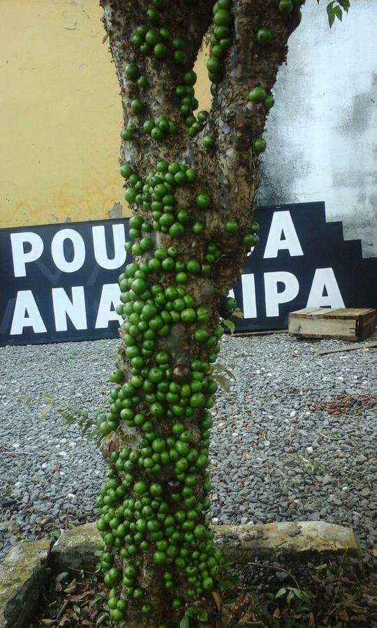 Pousada Ana Poipa Goiânia Exterior foto